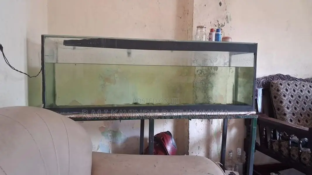 4ft Tank