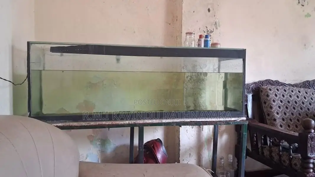 4ft Tank