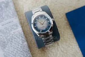 Omega Seamaster Aqua Terra Watch