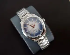 Omega Seamaster Aqua Terra Watch