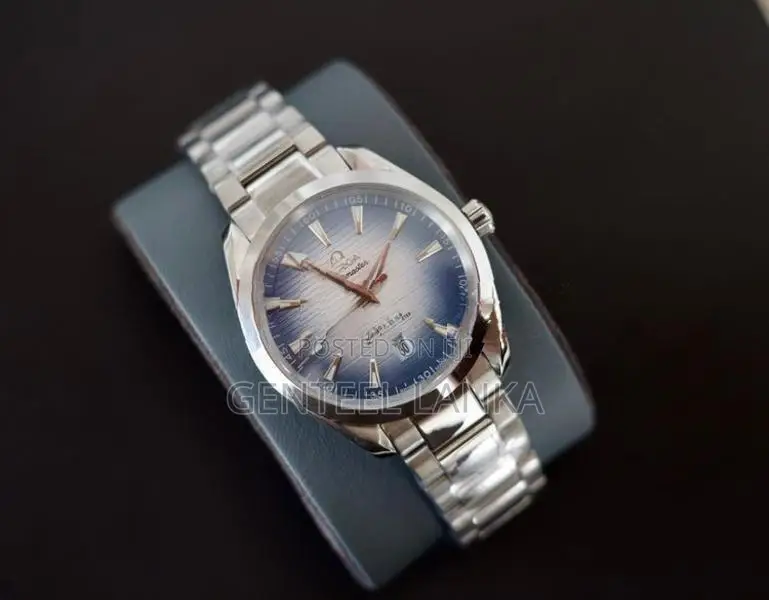 Omega Seamaster Aqua Terra Watch