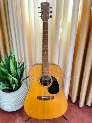 Cort Guitar