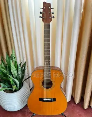 Samick Guitar
