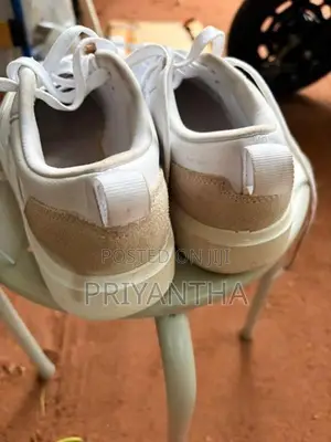 Sneaker Shoes