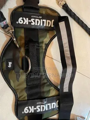 Dog Leash with Harness Set