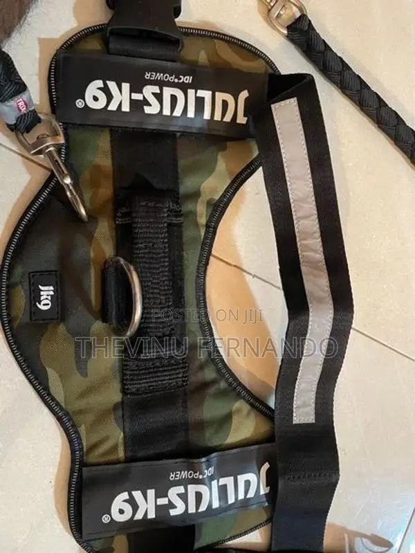 Dog Leash with Harness Set