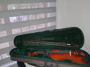 Superlark Violin Full Set