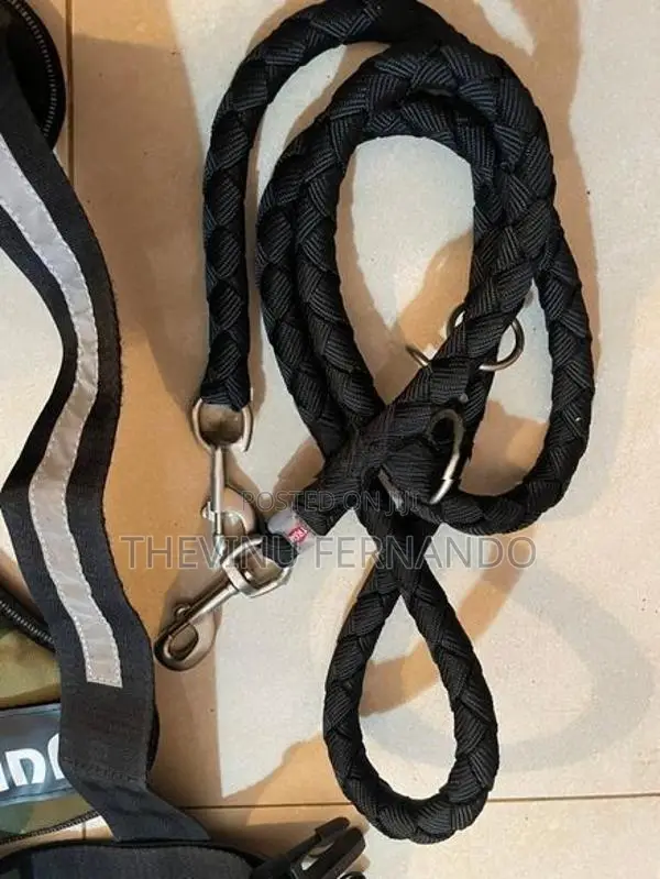 Dog Leash with Harness Set