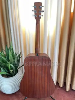 Cort Guitar