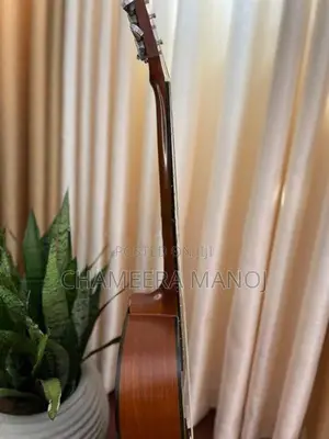 Samick Guitar