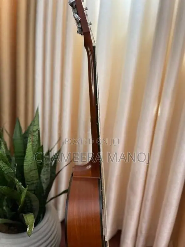 Samick Guitar