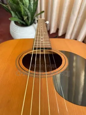 Cort Guitar
