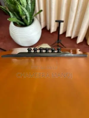 Samick Guitar