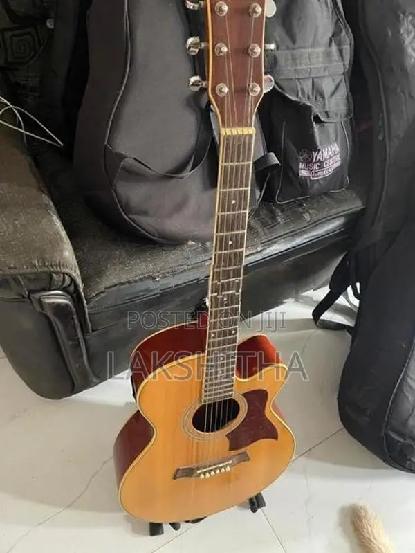 Semi Acoustic Box Guitar
