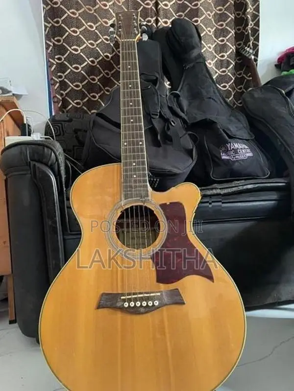 Semi Acoustic Box Guitar