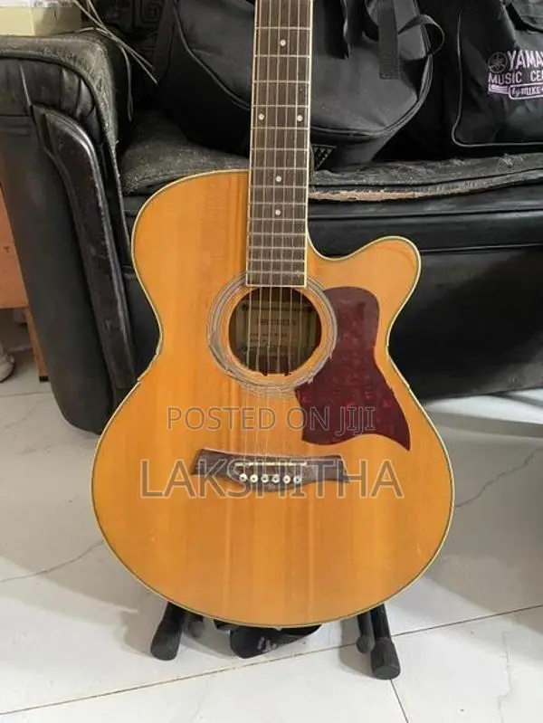 Semi Acoustic Box Guitar