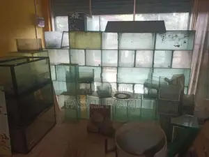 Fish Tank Lot