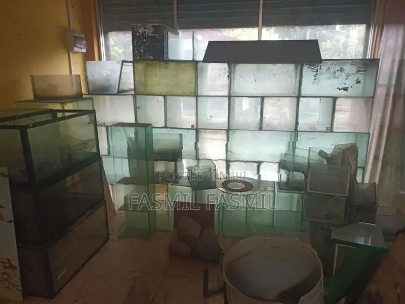 Fish Tank Lot