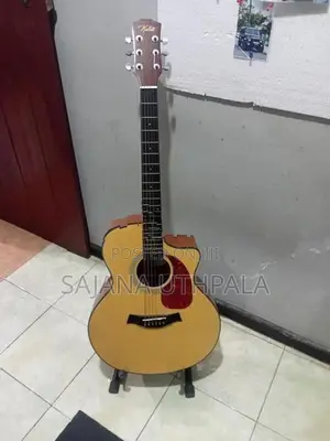 Acoustic Guitar