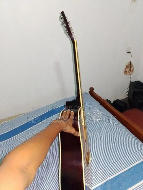 Guitar