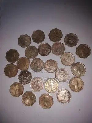 Vintage Ceylon Coin Lot