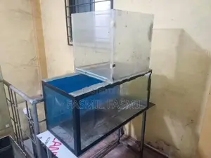 Fish Tank Lot