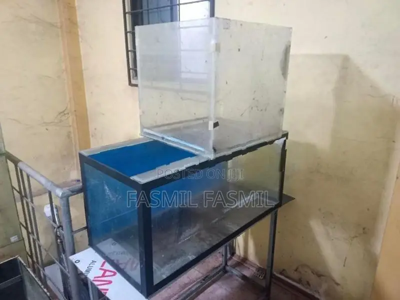 Fish Tank Lot