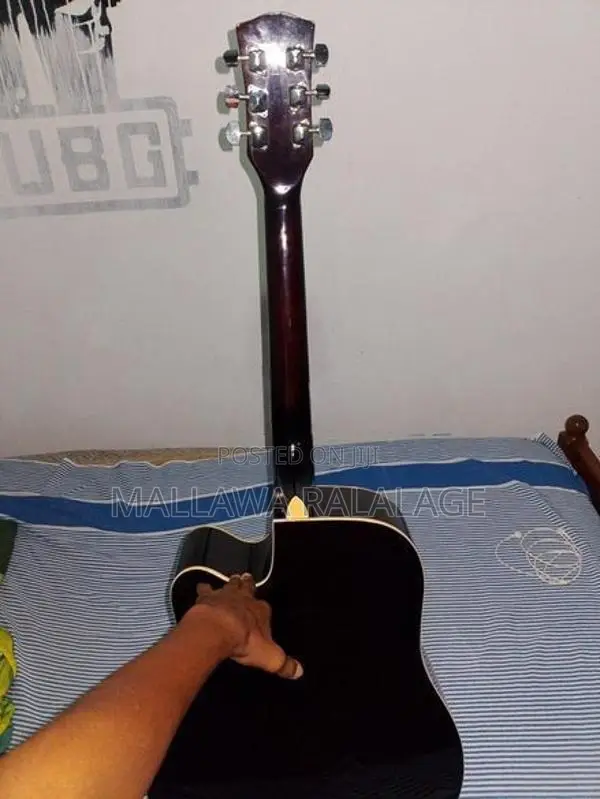 Guitar