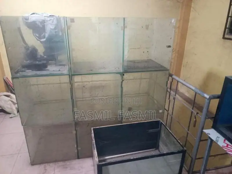 Fish Tank Lot