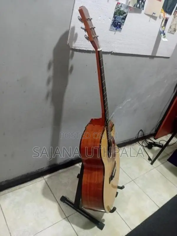 Acoustic Guitar