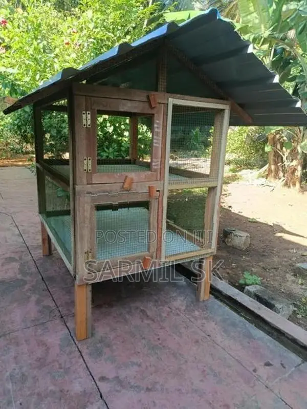 Chicken Cage