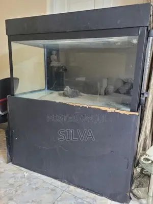 Fish Tank 4ft