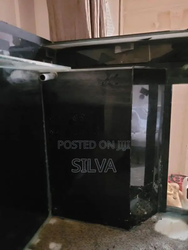 Fish Tank 4ft