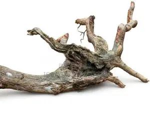 drift wood