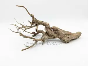 drift wood