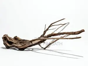 drift wood