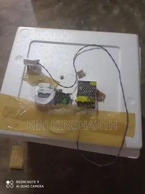 Egg Incubator