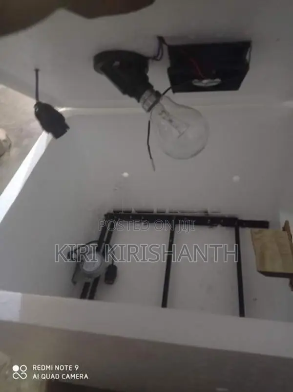 Egg Incubator