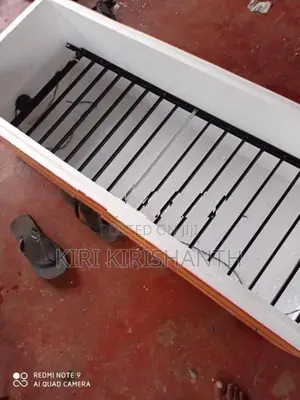Egg Incubator