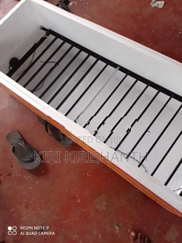 Egg Incubator