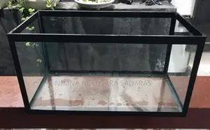 Fish Tank
