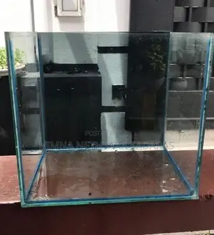Fish Tank