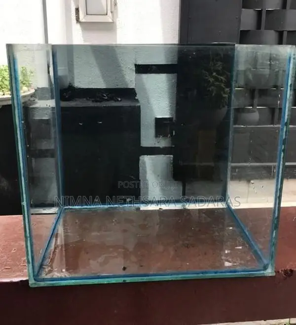 Fish Tank