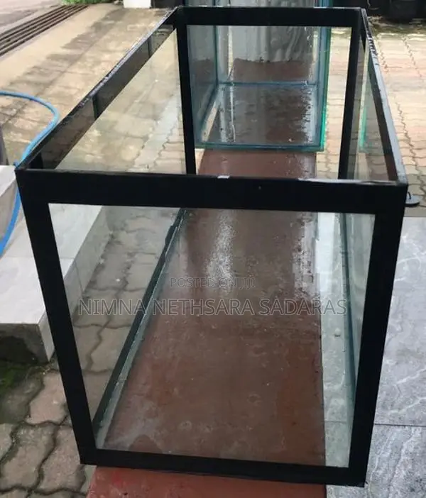Fish Tank