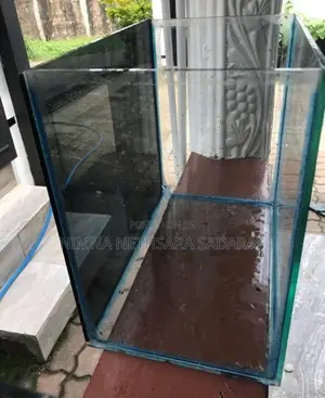 Fish Tank