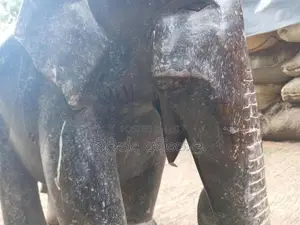 Antique Elephant Statue