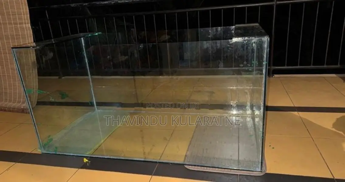 Fish Tank