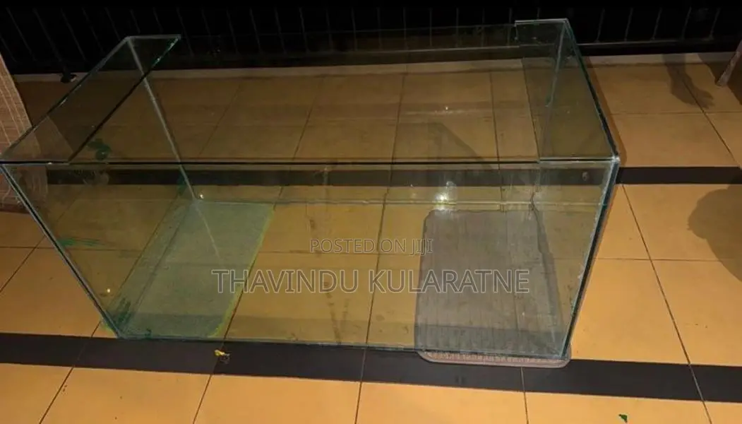 Fish Tank