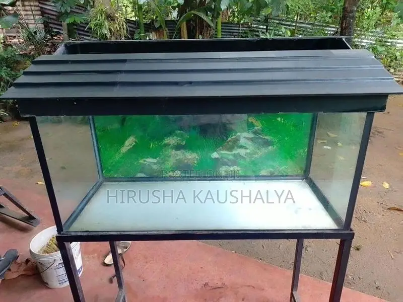 Fish Tank