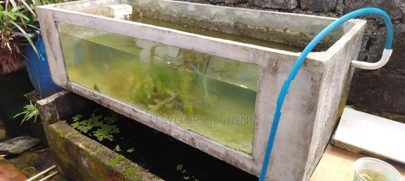 Cement fish tank